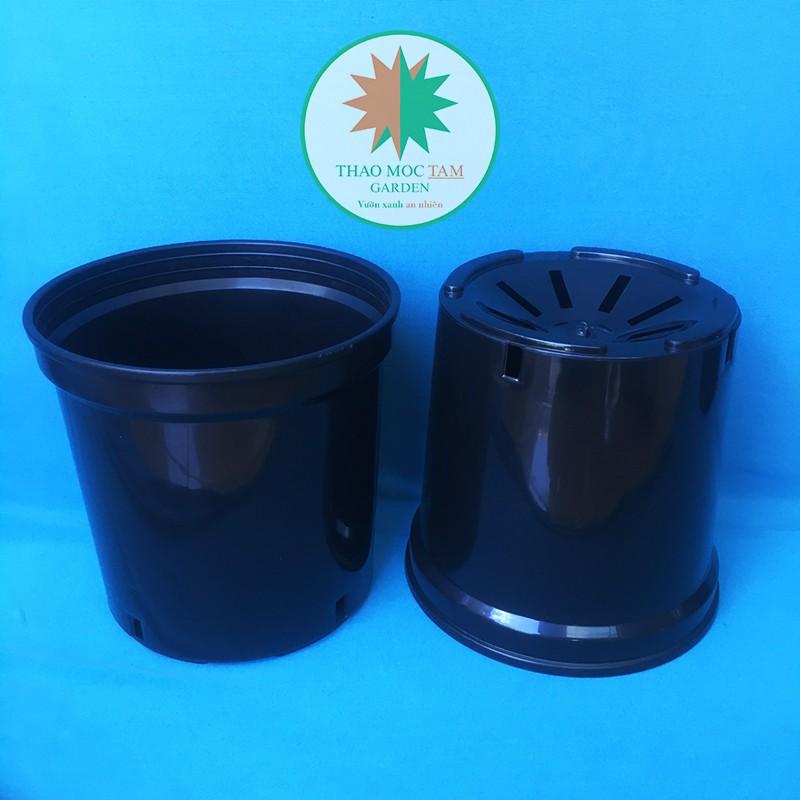 05c Chậu nhựa cứng 18x16cm – Chậu nhựa cứng, dày, miệng vành cứng trồng hoa hồng, hoa chậu