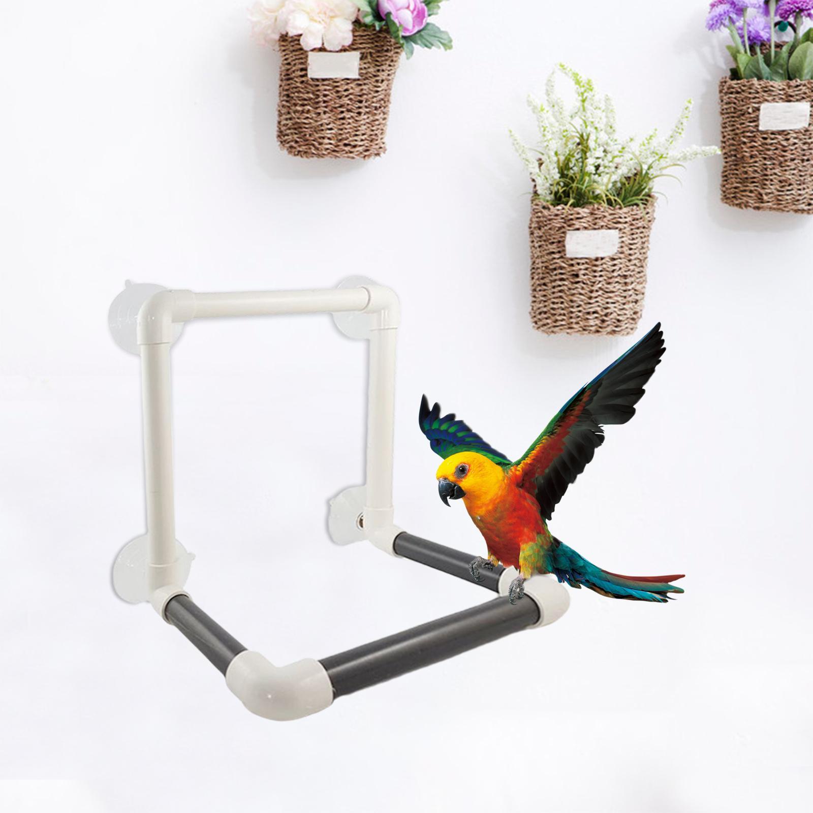 Bird Perch Stand Parrot Shower Stand Suction Cup Standing Toy Window Play