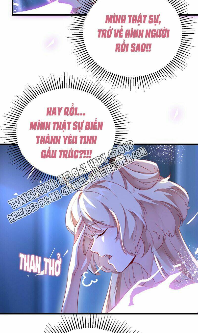 thiên thần gấu trúc muốn được ôm chapter 20 13