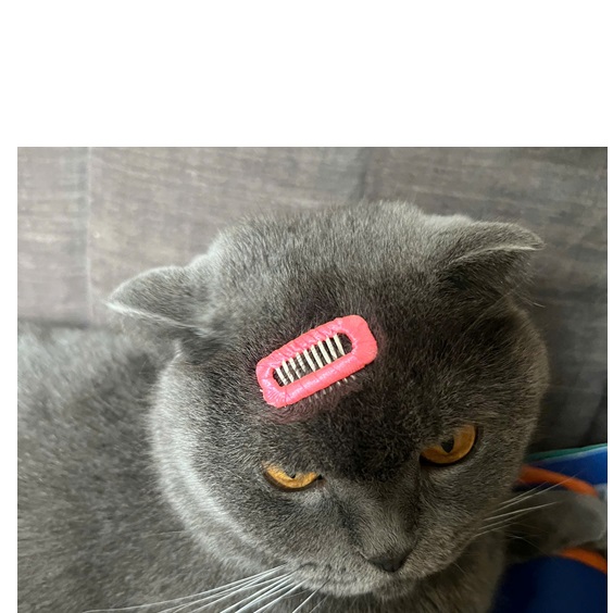 NƠ KẸP TÓC SANG TRỌNG NHIỀU MÀU DỄ THƯƠNG XINH XẮN CHO THÚ CƯNG CHÓ MÈO