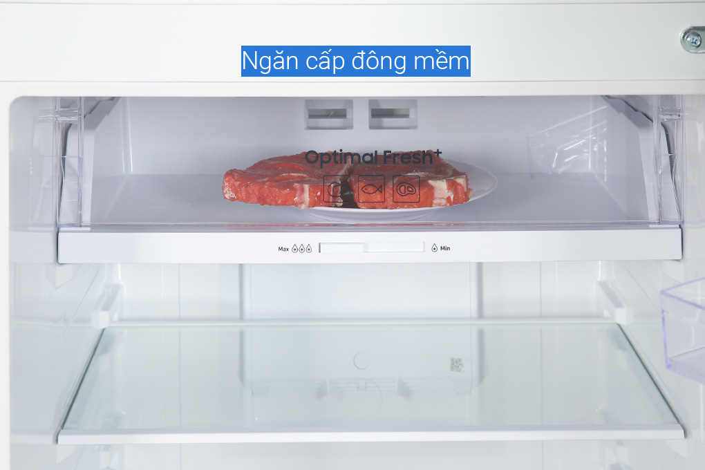 Tủ lạnh Samsung Inverter 305 lít RT31CG5424B1SV - HÀNG CHÍNH HÃNG