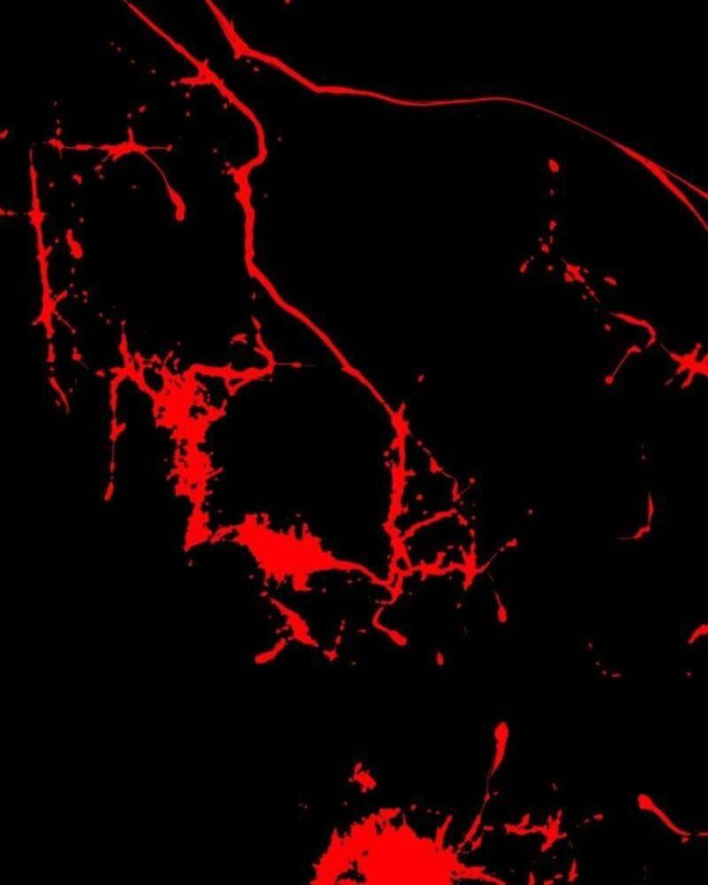 tử thần chapter 35 46