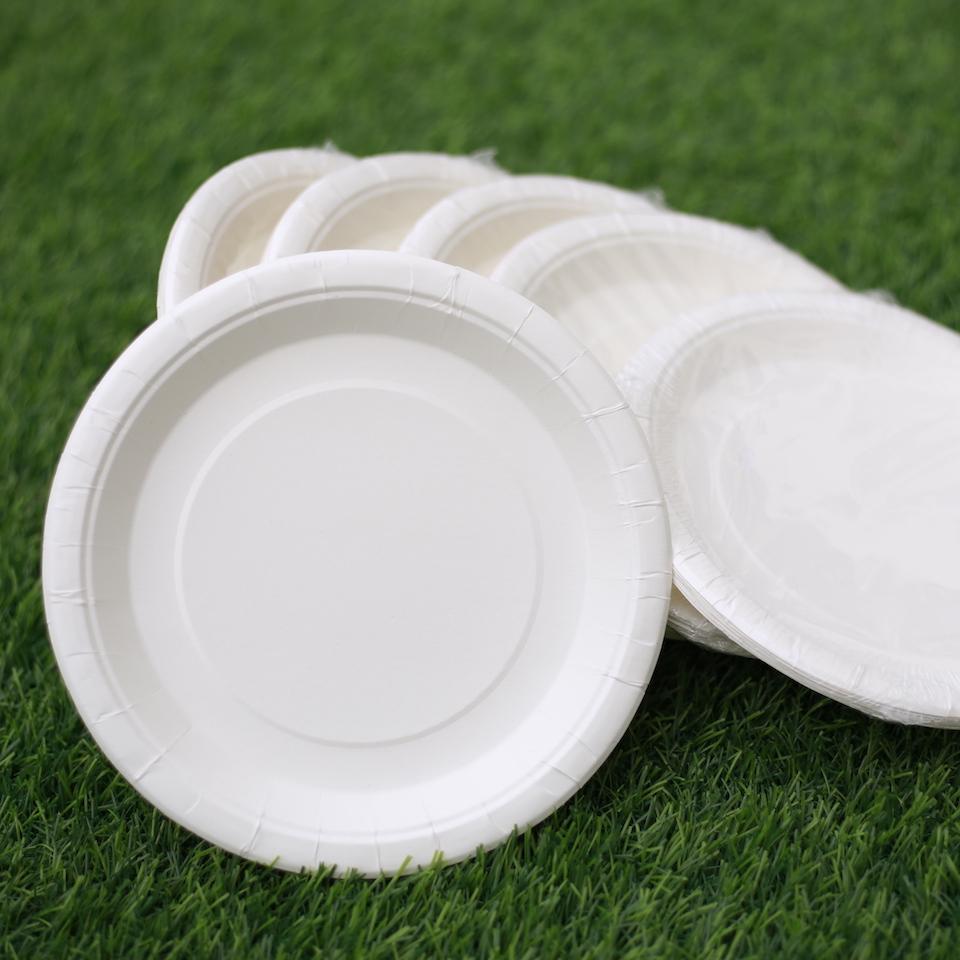 Dĩa giấy trắng 19cm - Combo 50 cái