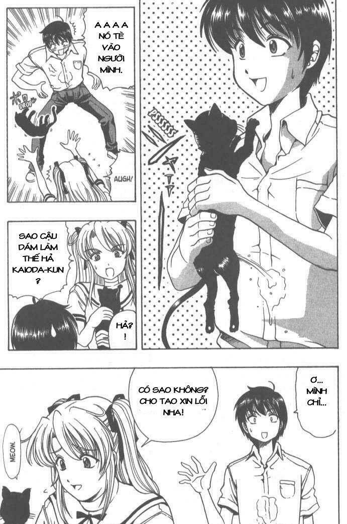 puripuri chapter 6 21