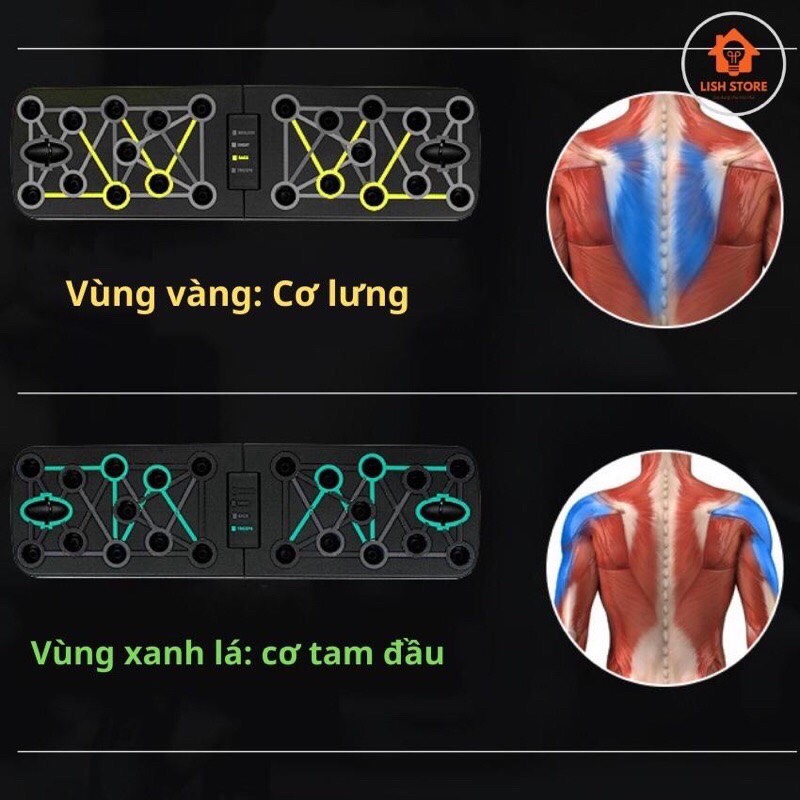Bộ Tập Chống Đẩy Đa Năng PARALLETTES - Bộ Tập Hít Đất Tập Gym Tại Nhà Tăng Cơ Ngực Tay Vai Lưng