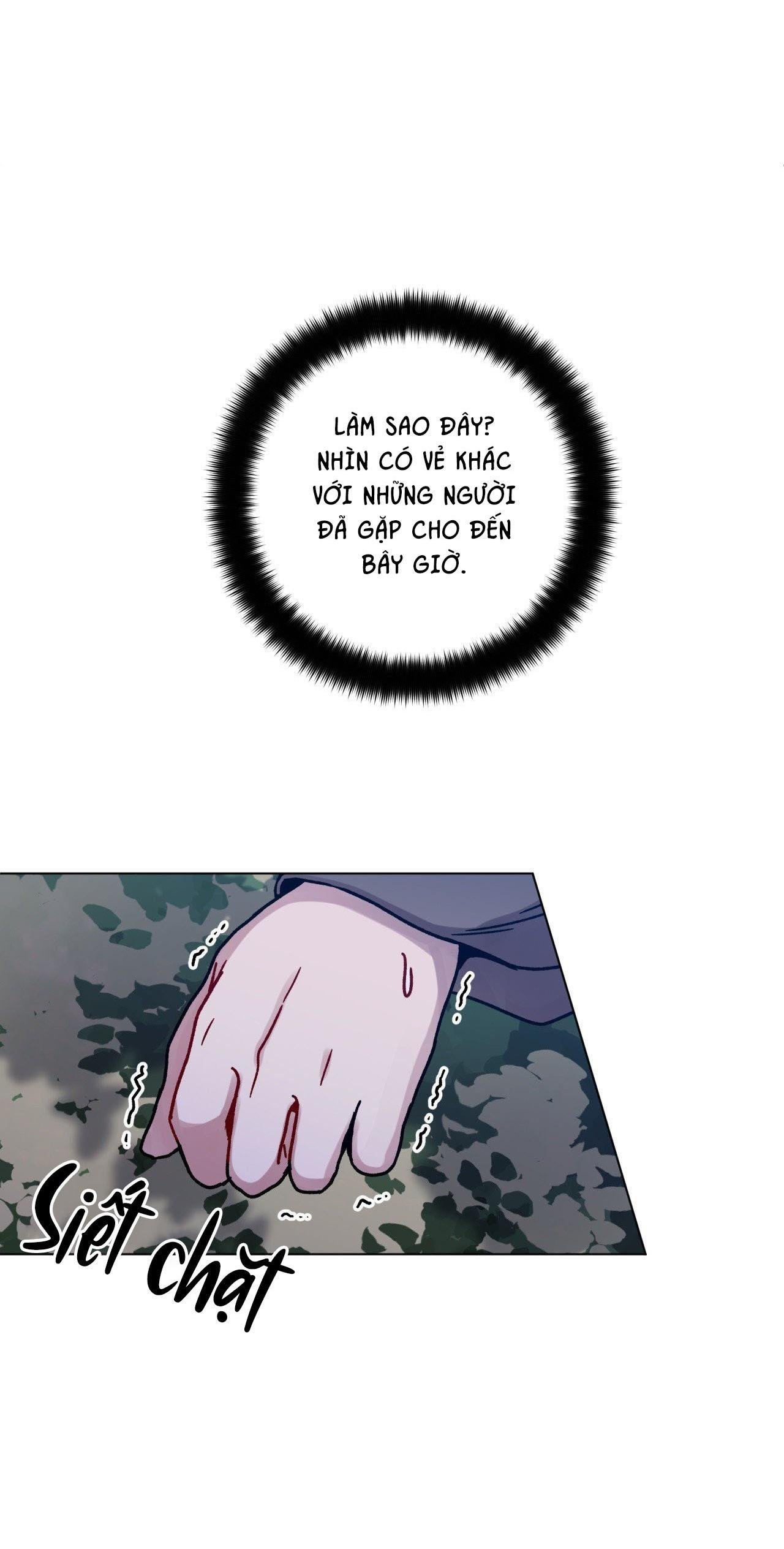 cơn mưa rào mùa hạ chapter 81 5