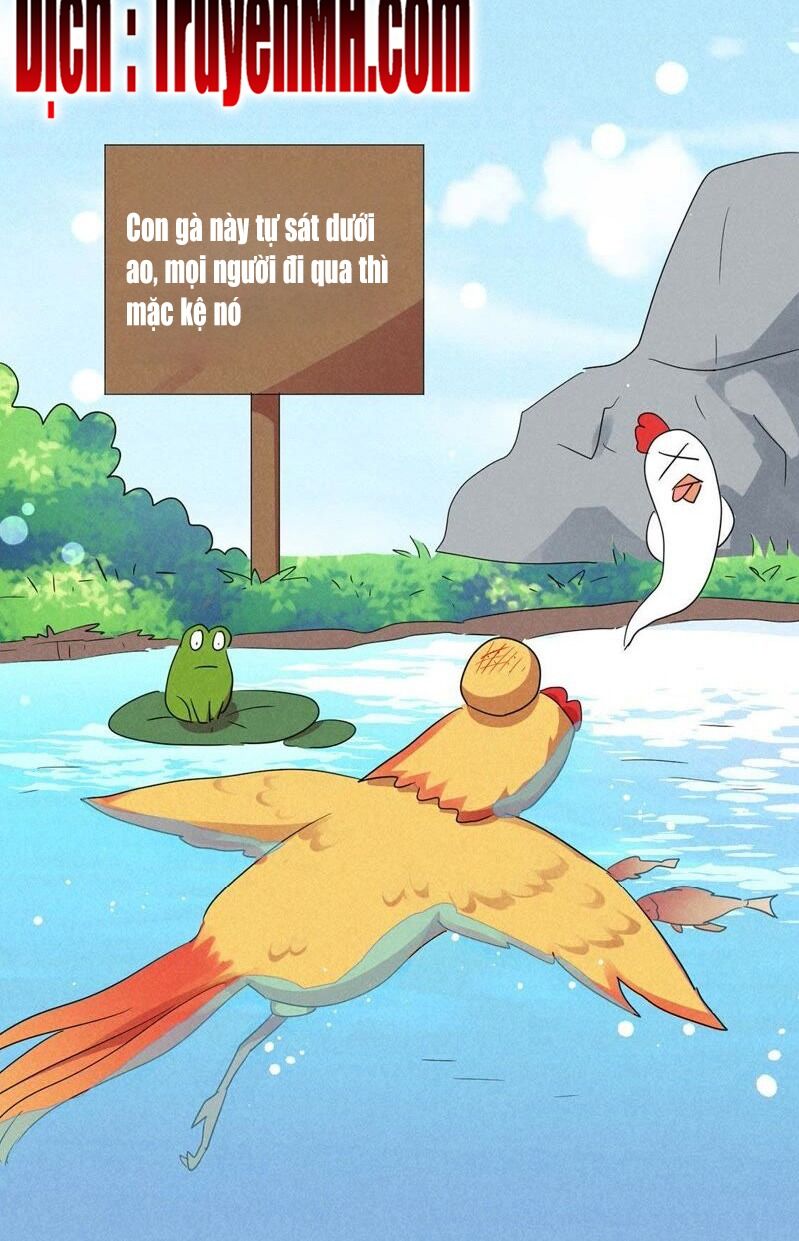 101 mỹ nam của vương phi béo phì chapter 36 18