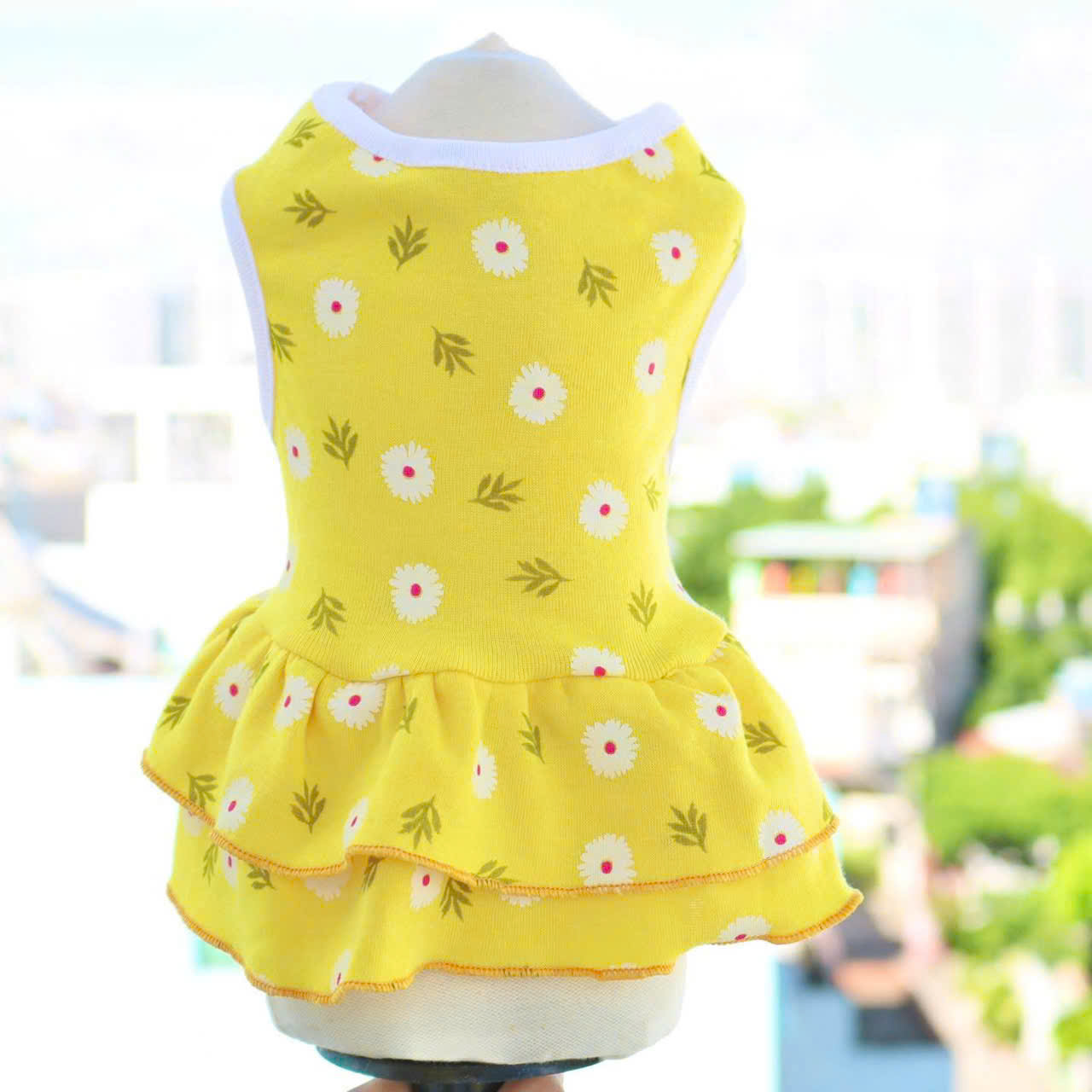 ĐẦM HOA CÚC TƯƠI MÁT DỄ THƯƠNG TỪ 0.5-12KG DÀNH CHO THÚ CƯNG CHÓ MÈO