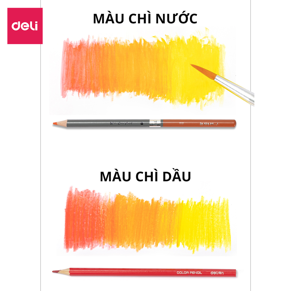 Bút Chì Màu Nước Cao Cấp Nusign - 48/72 Màu Tặng Kèm Cọ Vẽ - Dùng Dạng Khô Hoặc Nước Để Tô Màu, Vẽ Tranh