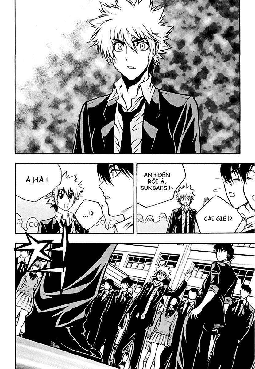 zippy ziggy chapter 51 9