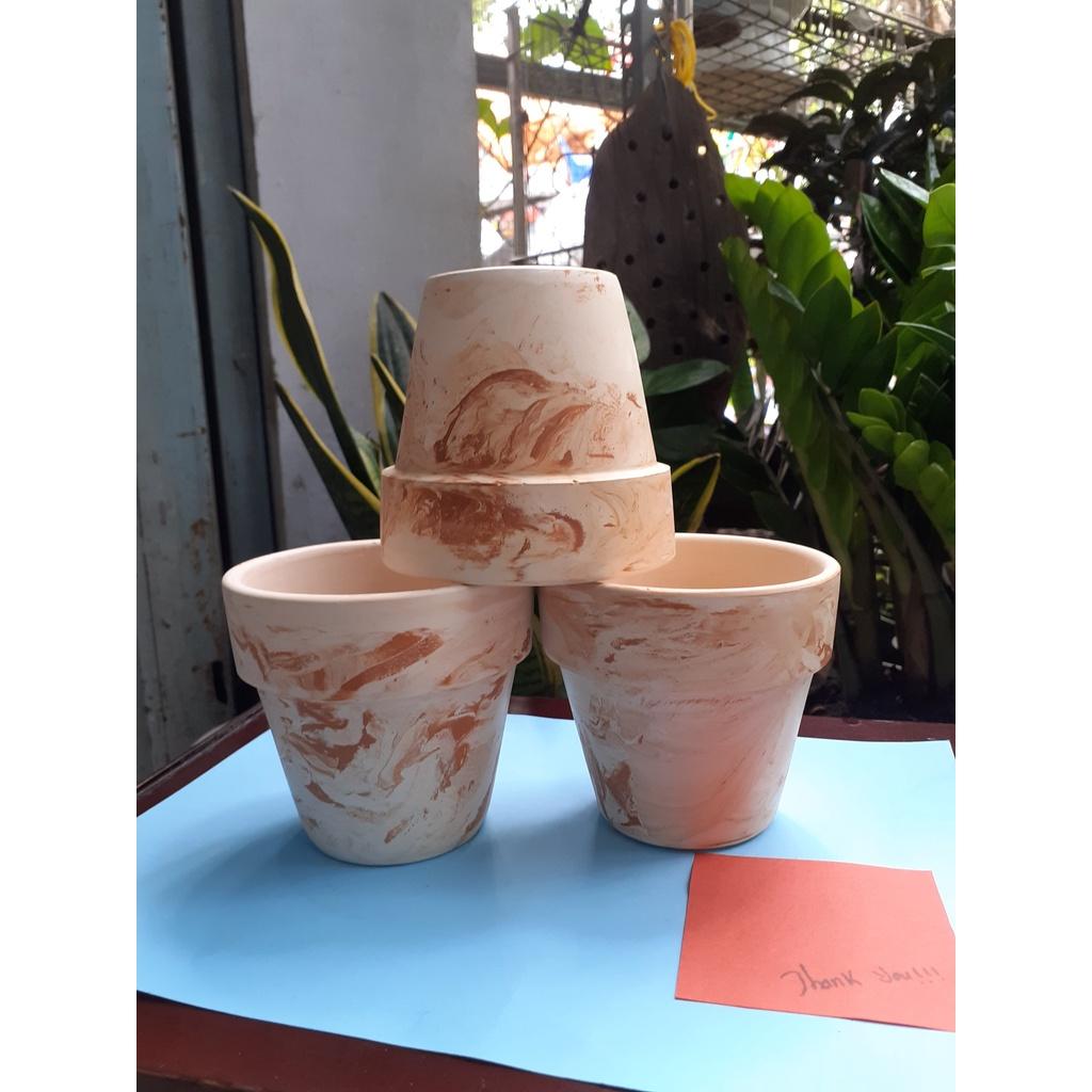 Chậu đất nung dễ thương trồng sen đá