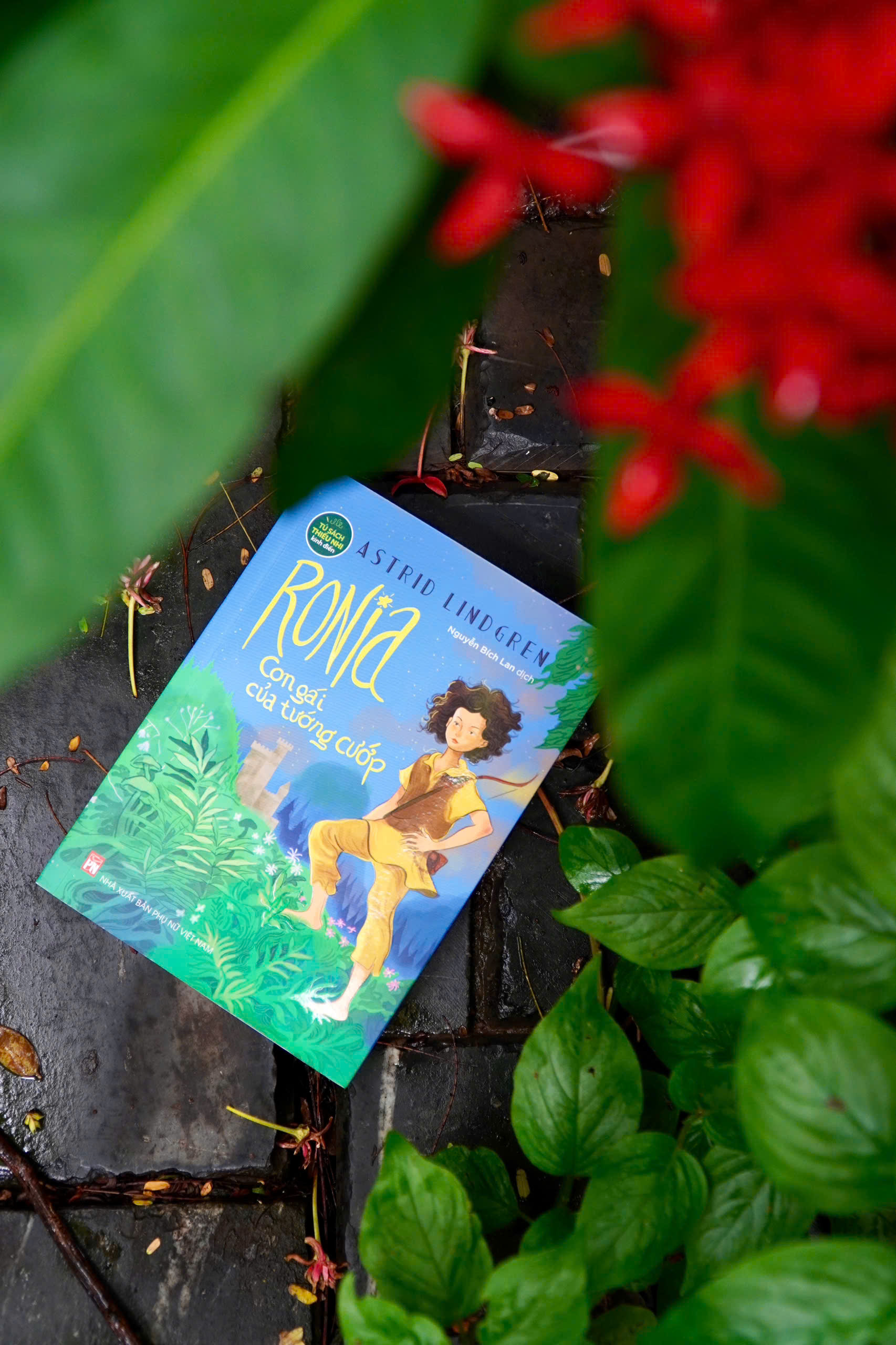 Sách Ronia, Con Gái Của Tướng Cướp