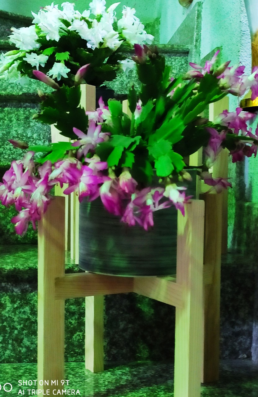 Chân đế gỗ đặt chậu cây size XL