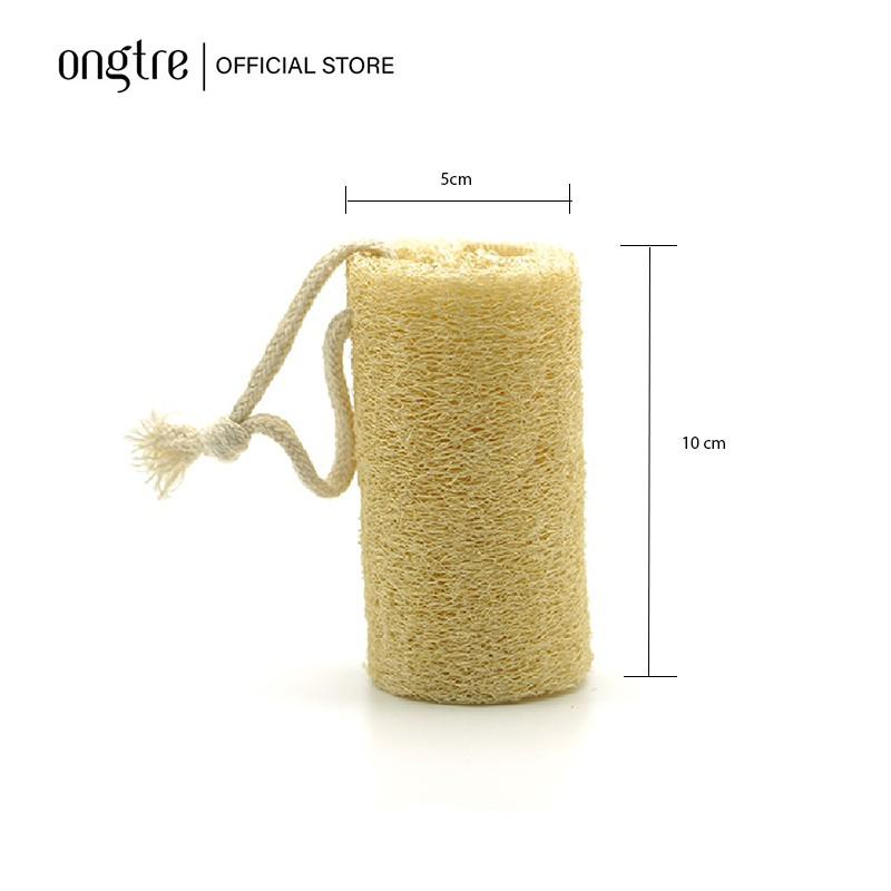 Xơ Mướp tự nhiên, Xơ mướp để tắm, Tẩy da chết | ongtre
