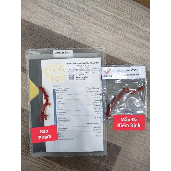 197- Đá San Hô Đỏ