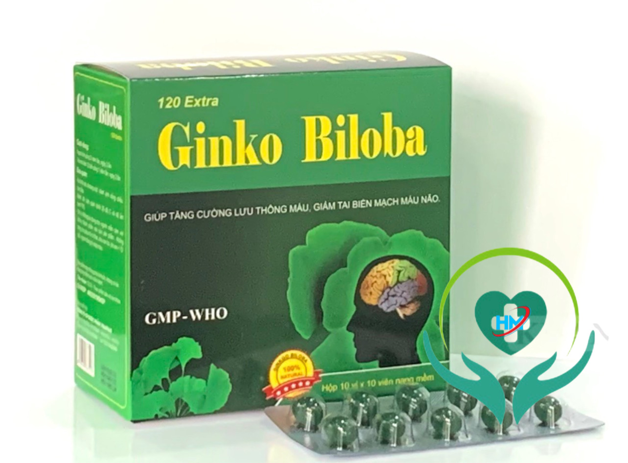 Viên uống Ginkgo Biloba 120mg Vinapharco , hộp 100v, tăng cường tuần hoàn não