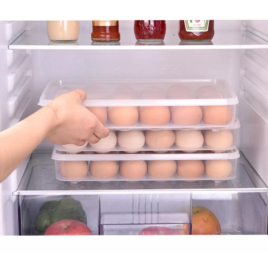 KHAY ĐỰNG TRỨNG TRONG SUỐT QUAN SÁT ĐƯỢC BÊN TRONG 24 QUẢ CÓ NẮP ĐẬY HÀNG NHỰA VIỆT NHẬT
