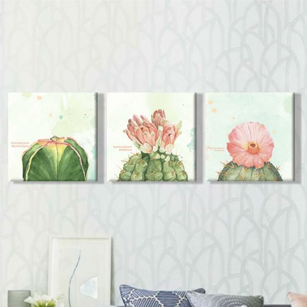 Bộ 3 Tranh Canvas Không Viền Treo Phòng Khách "Hoa Xương Rồng" W103