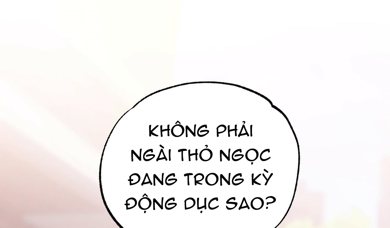 NHỮNG CHÚ THỎ CỦA HAPYPY chapter 10.2