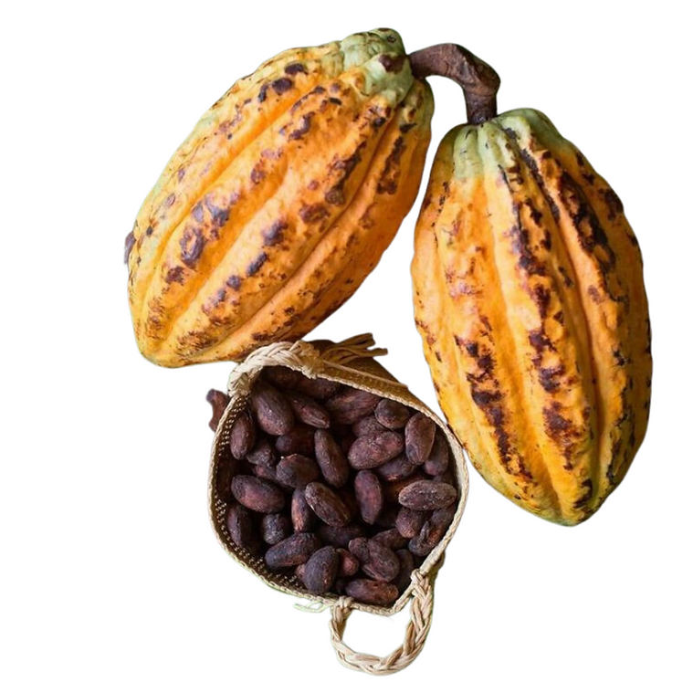 Hạt cacao thô lên men 1kg O'PETIT