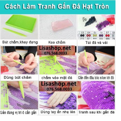 Tranh đính đá CỬU NGƯ QUẦN HỘI DF035  chưa đính