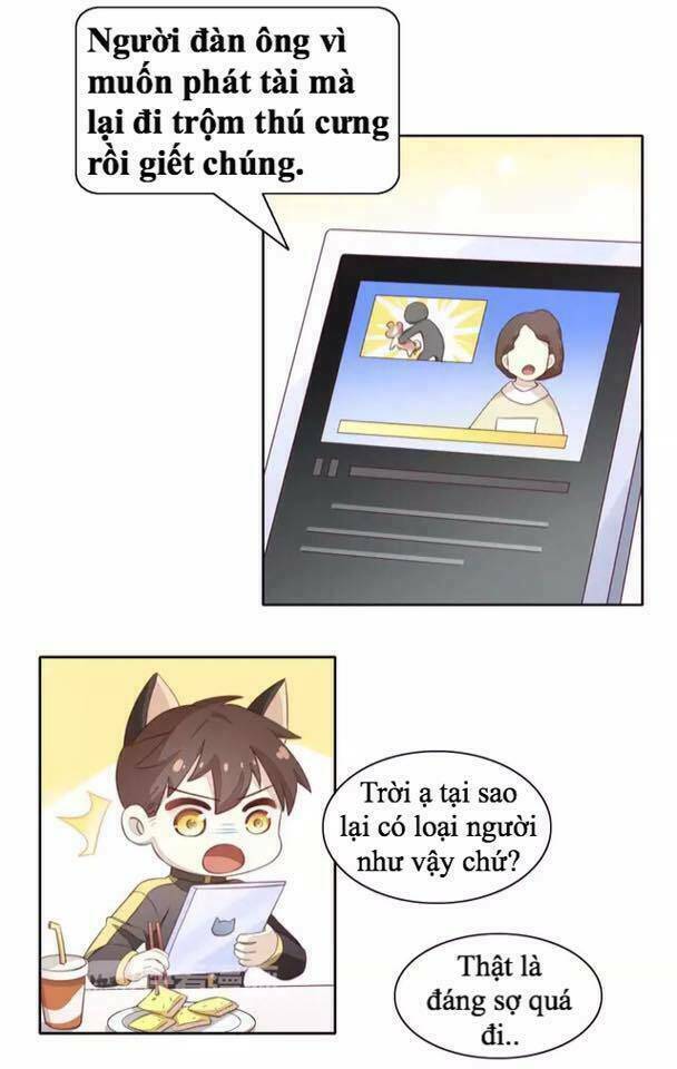 dưới móng vuốt mèo chapter 14 2