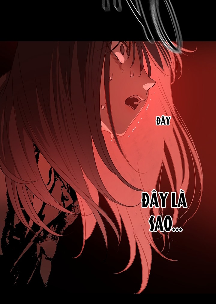 [18+] hoa là mồi nhử chapter 2 24