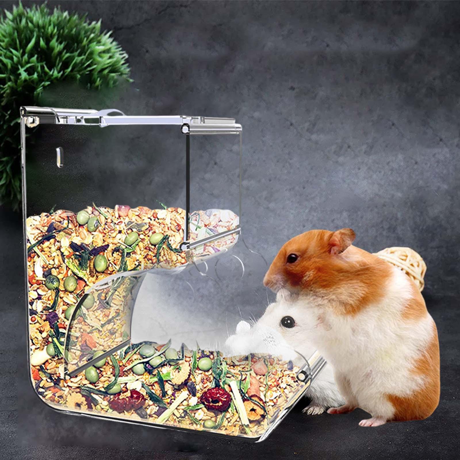 Automatic Hamster Feeder Dwarf Acrylic Birds Transparent Guinea Pig Feeding