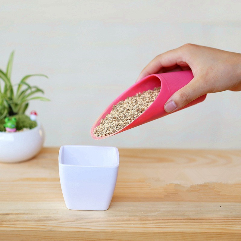 Combo 10 món dụng cụ trồng sen đá, xương rồng