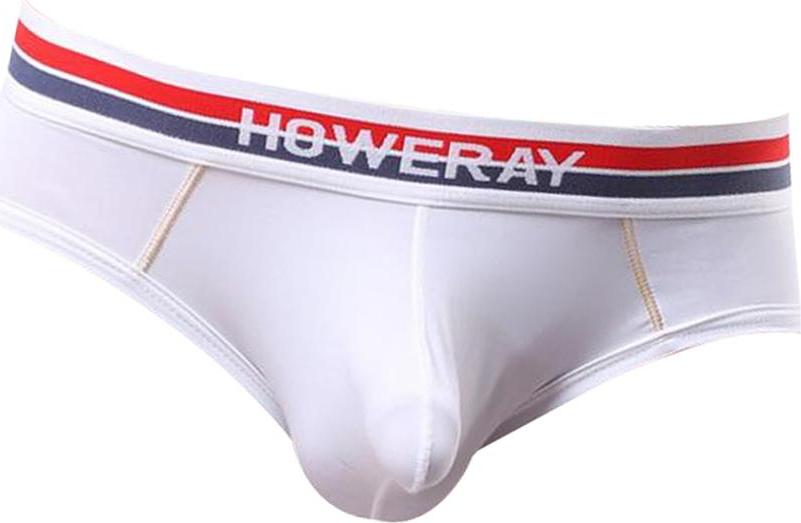 Sexy Men Low Rise Briefs Underwear Panties Underpants Shorts