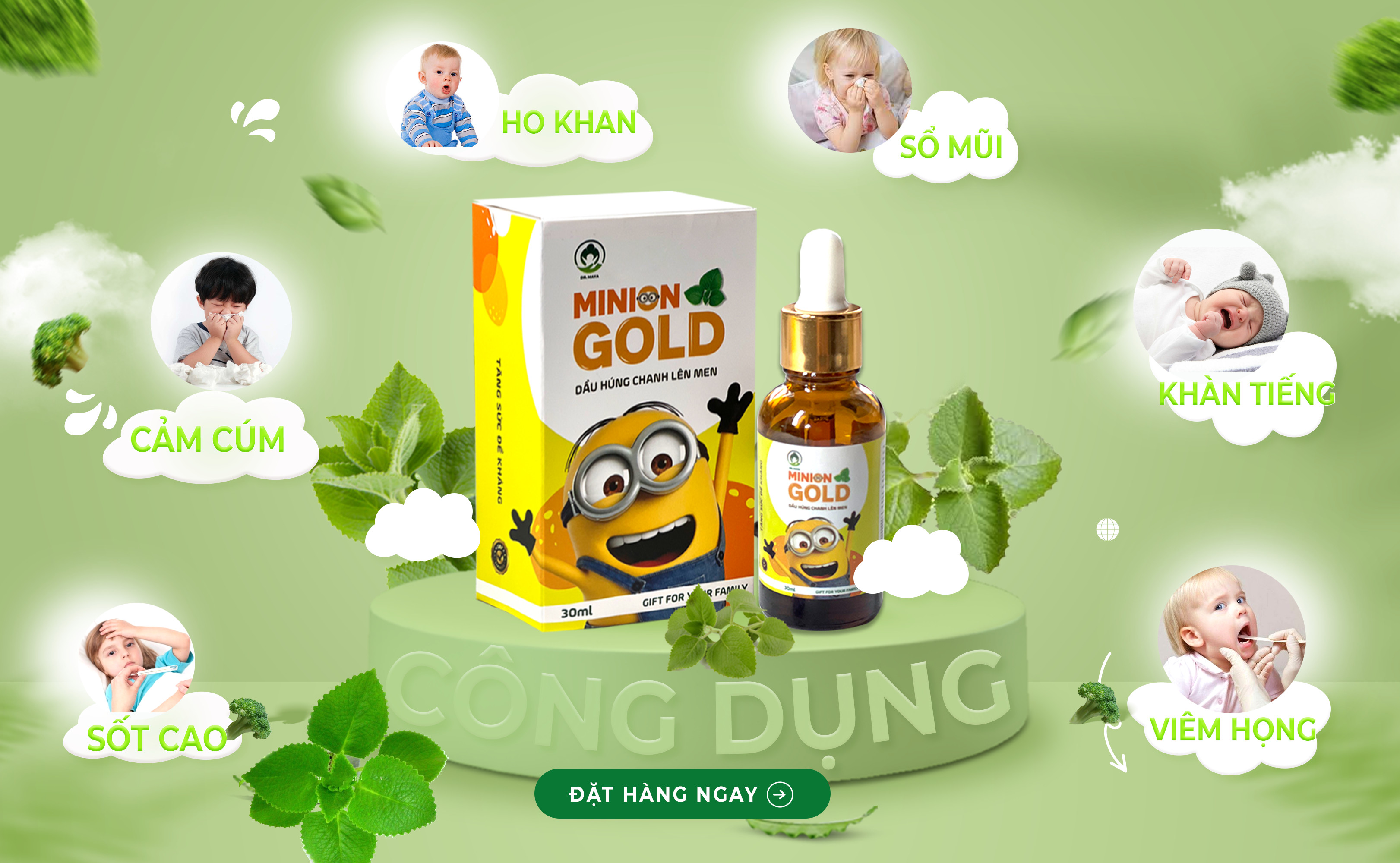 Combo 2 Hộp Dầu húng chanh lên men Minion Gold 30ml giúp giảm ho, khò khè  [ Tặng Vòng dâu tằm cho bé ]