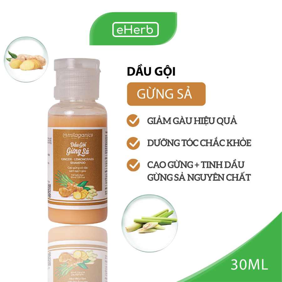 Dầu Gội Gừng Sả Làm Sạch Gàu, Dưỡng Tóc Mềm Mượt Từ Cao Gừng Cô Đặc MILAGANICS 30ml (Chai)