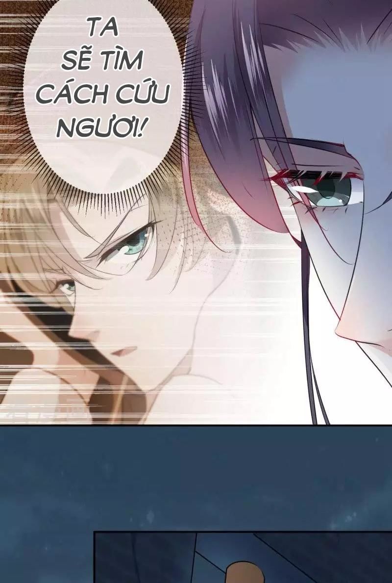 vương gia không thể trêu chapter 62 34