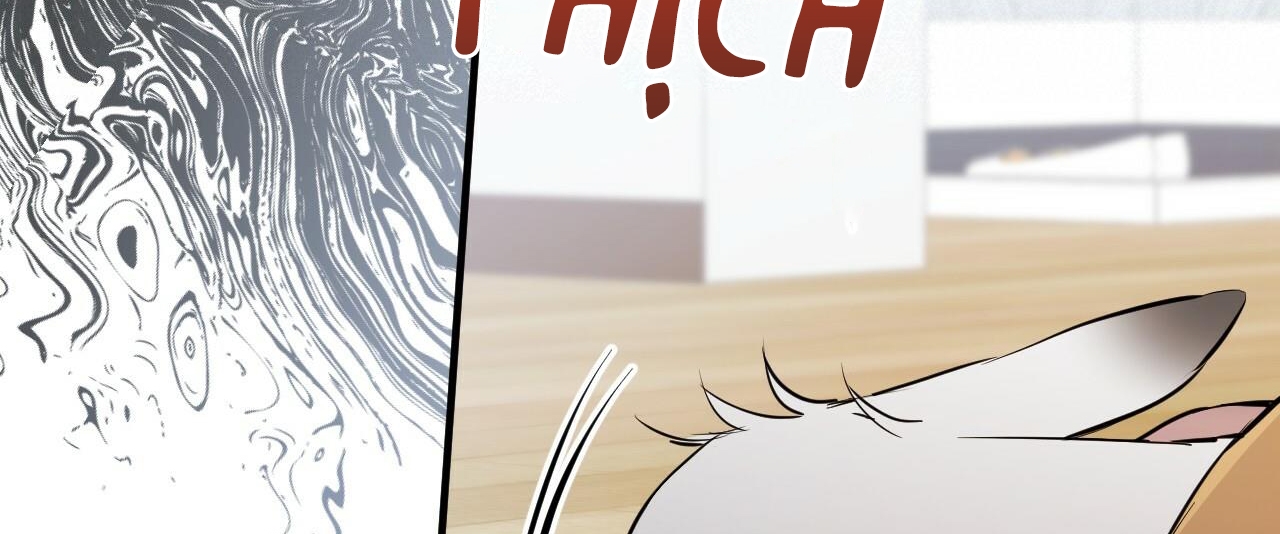 đàn thỏ của habibi chapter 36 37