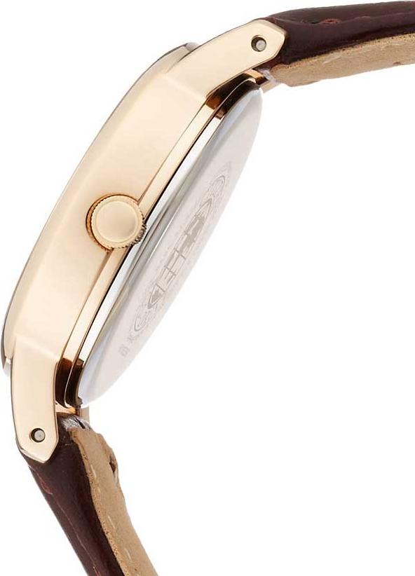Đồng hồ nữ Citizen Eco-Drive EW3252-07A