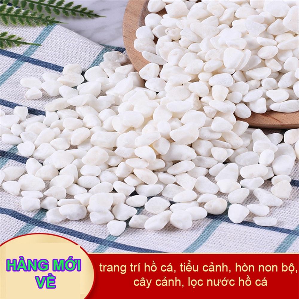 Sỏi trắng, đá trắng 1.2KG cao cấp, trang trí chậu cây, hồ cá, bể cá, tiểu cảnh, hòn non bộ thủy sinh, cây cảnh.