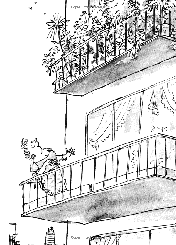 Esio Trot (Roald Dahl, Illustrated by Quentin Blake)