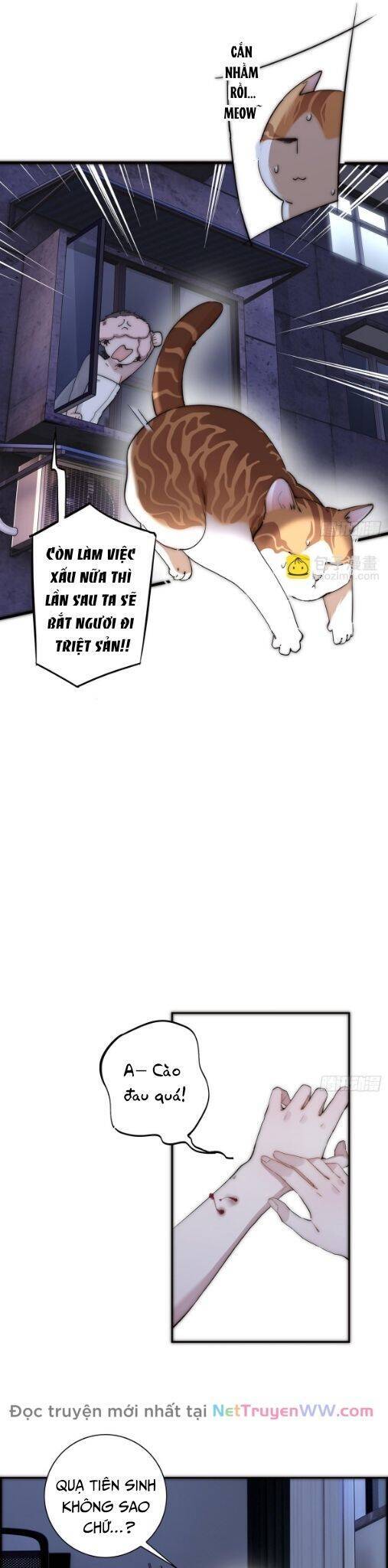 ân nhân của tôi không phải học giả chapter 37 10