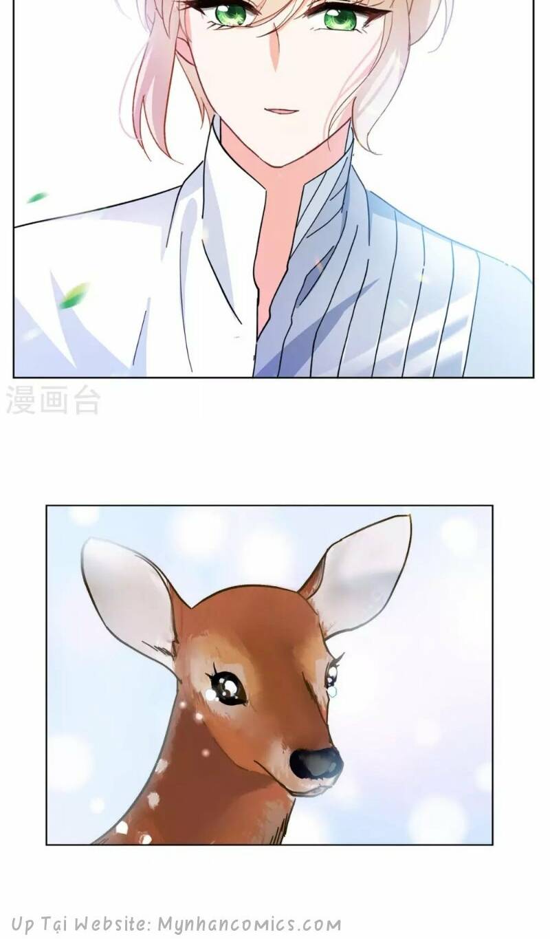 cô ấy đến rồi, xin nằm xuống! chapter 117 10