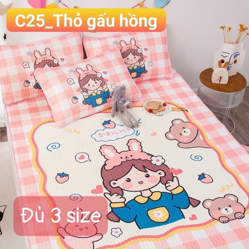 Chiếu Điều Hoà Tencel 6D Hàng Nhập Khẩu Cao Cấp 3 Món Mẫu Bé Trai Và Bé Gái