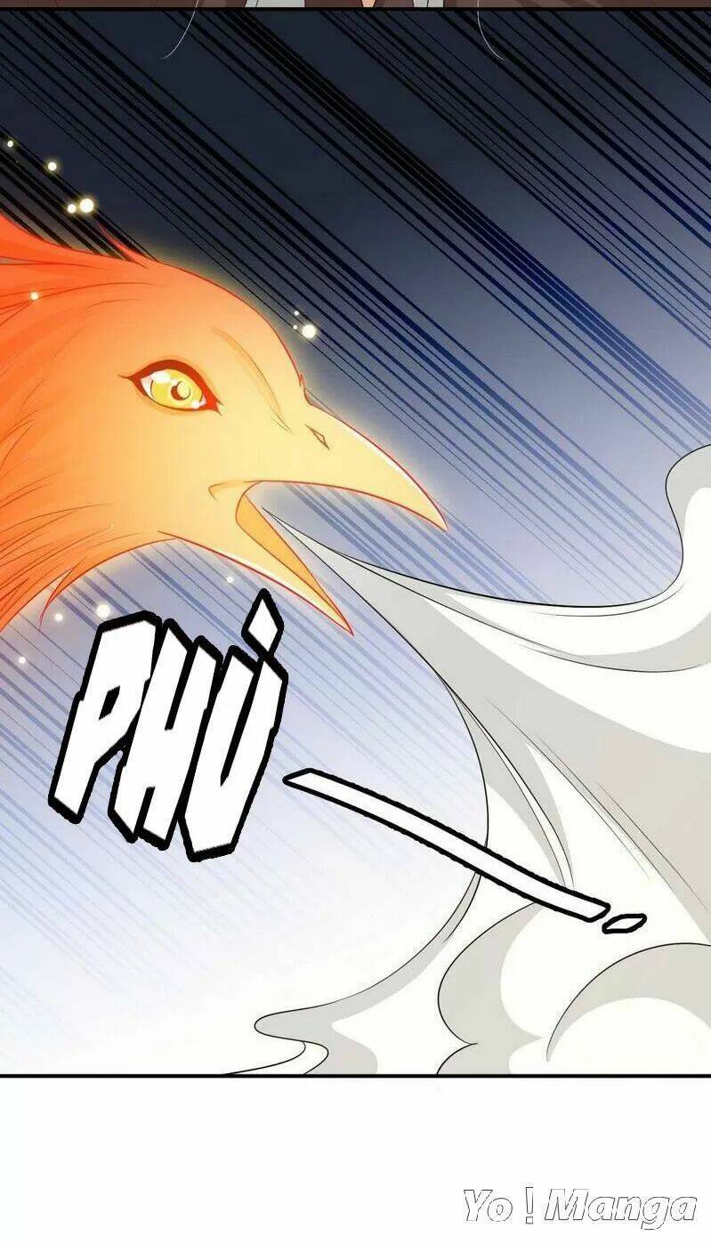 độc y cuồng phi chapter 74 25