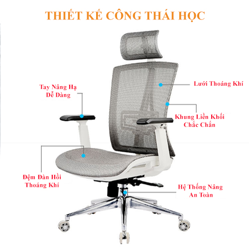 Ghế Văn Phòng, Ghế Làm Việc Cao Cấp Dạng Lưới Thoáng Khí 6 Bánh Xe Di Chuyển Trơn Chu