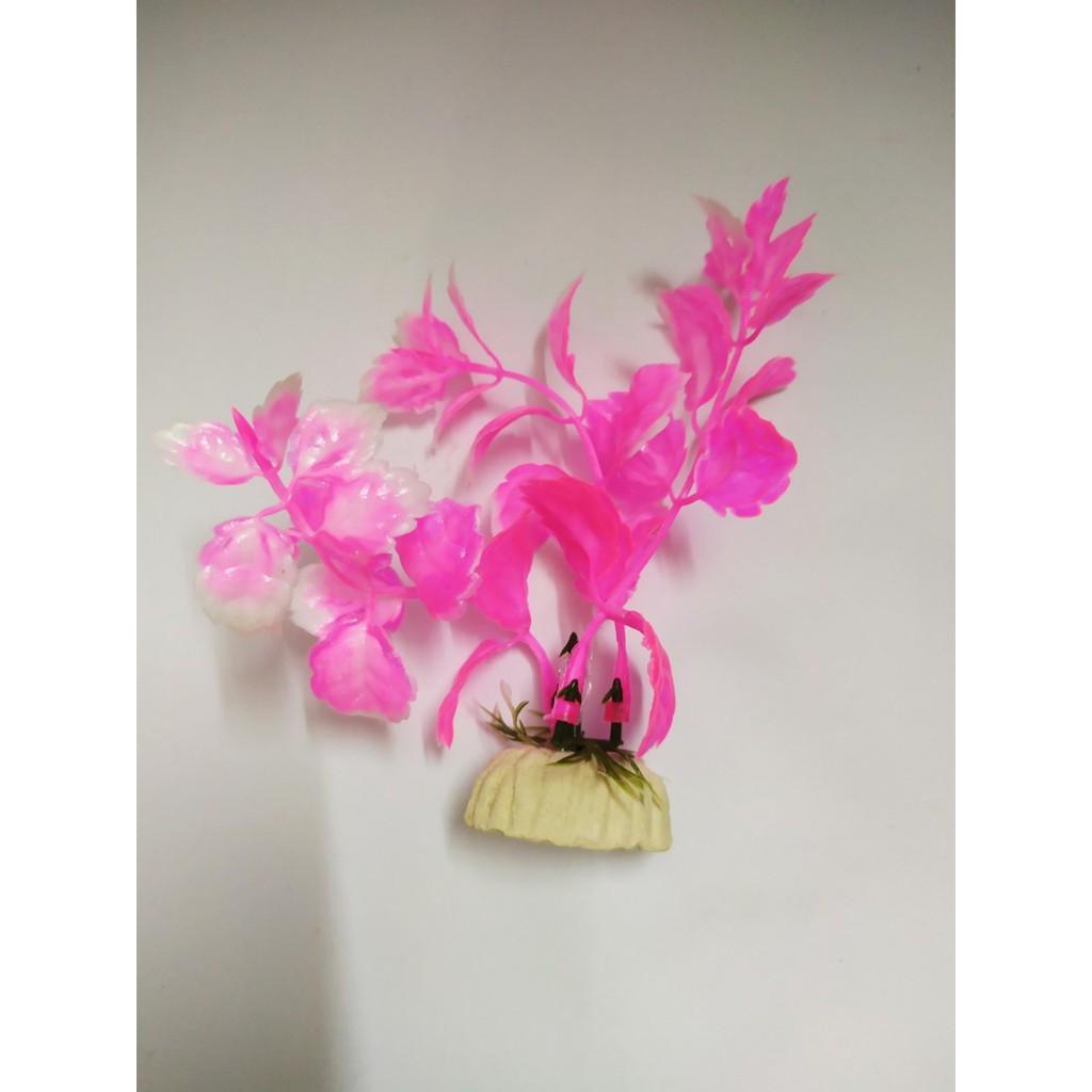 Bộ 2 Cây Rong Mini cao 13 cm Trang Trí Hồ Cá, Bể Cá-Hòn Non Bộ,..