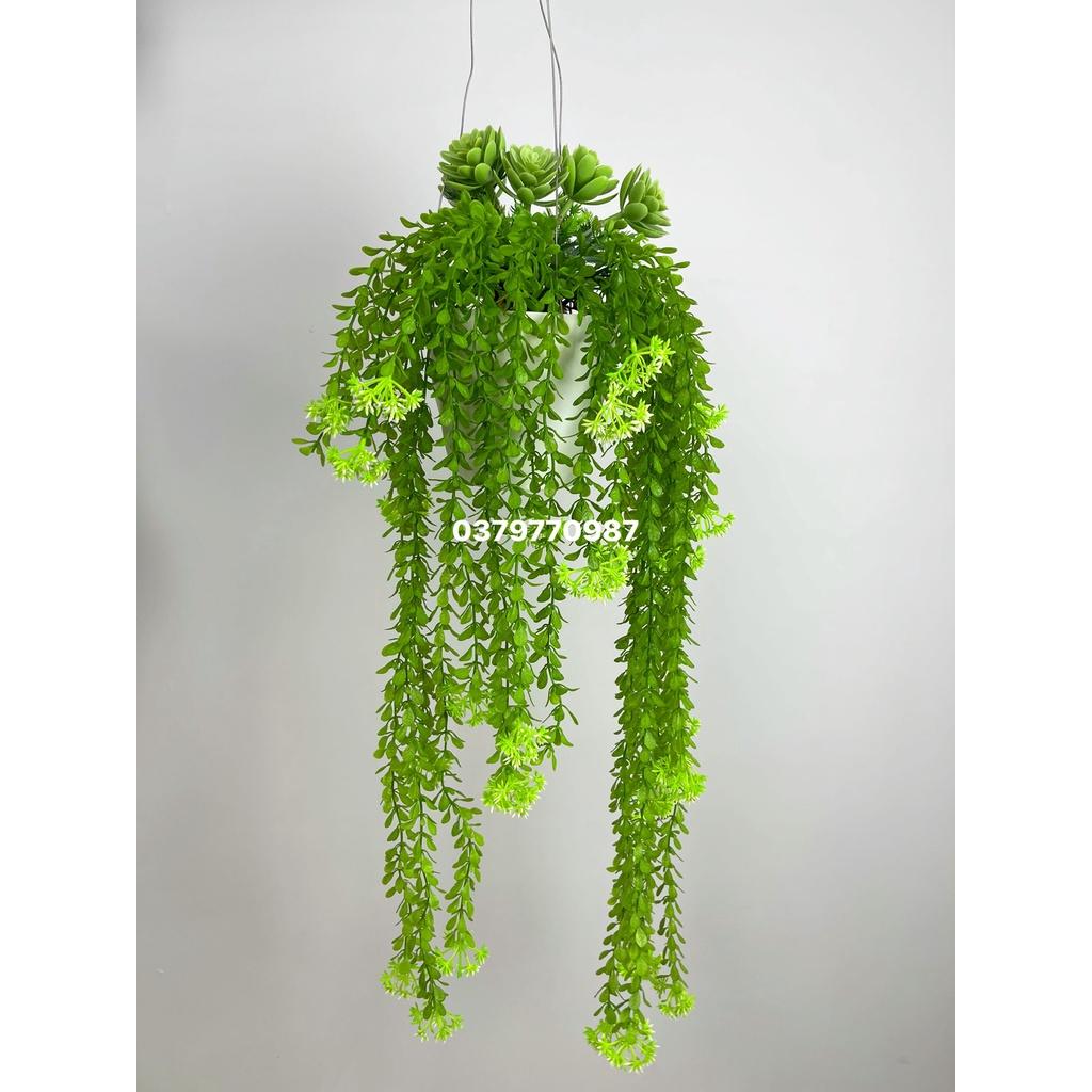 Chậu cây rủ trang trí, cụm dây leo rủ trang trí cho cà phê, nhà hàng quán ăn decor