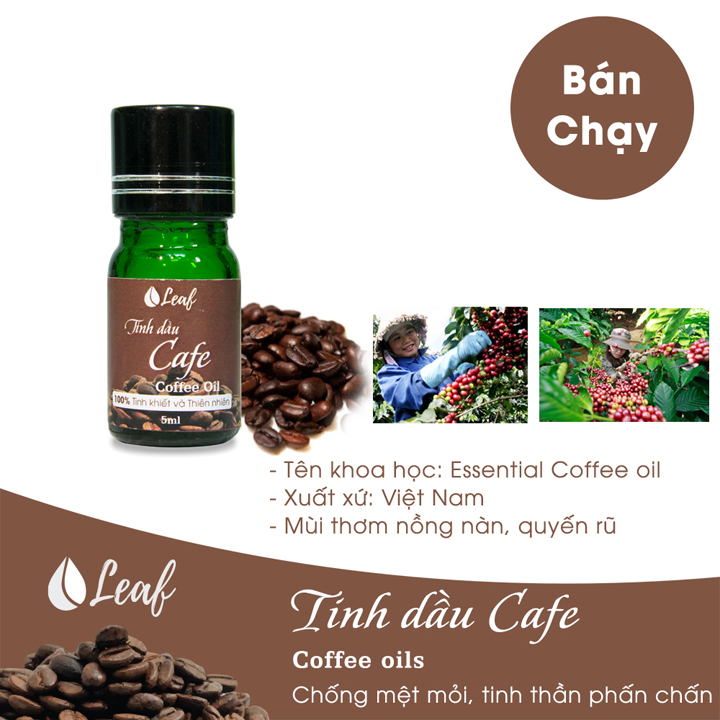 Tinh dầu Cafe Leaf 5ml