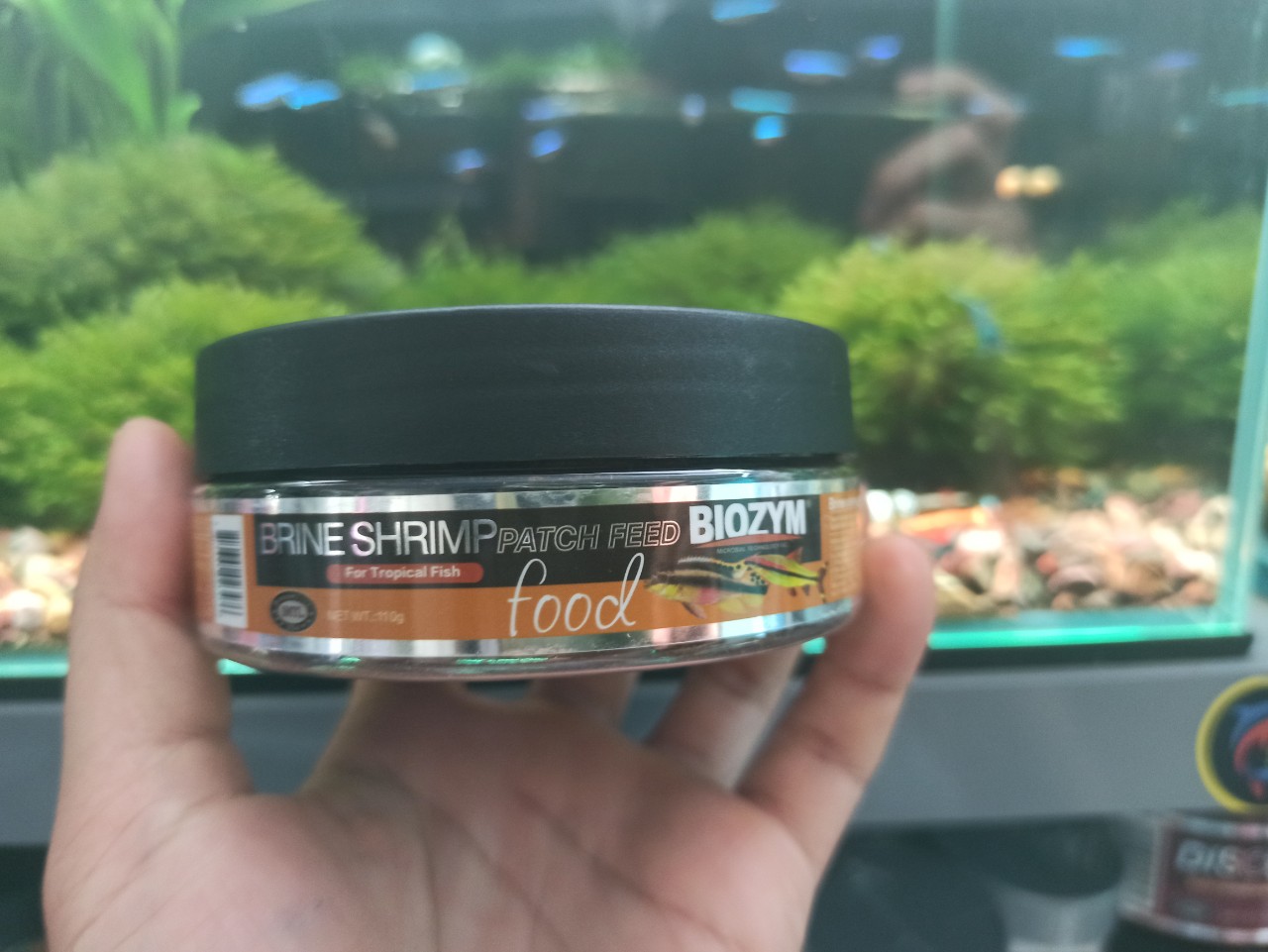 Thức ăn viên dán Biozym Brine Shrimp Food - cám dán cho cá thủy sinh-shopleo