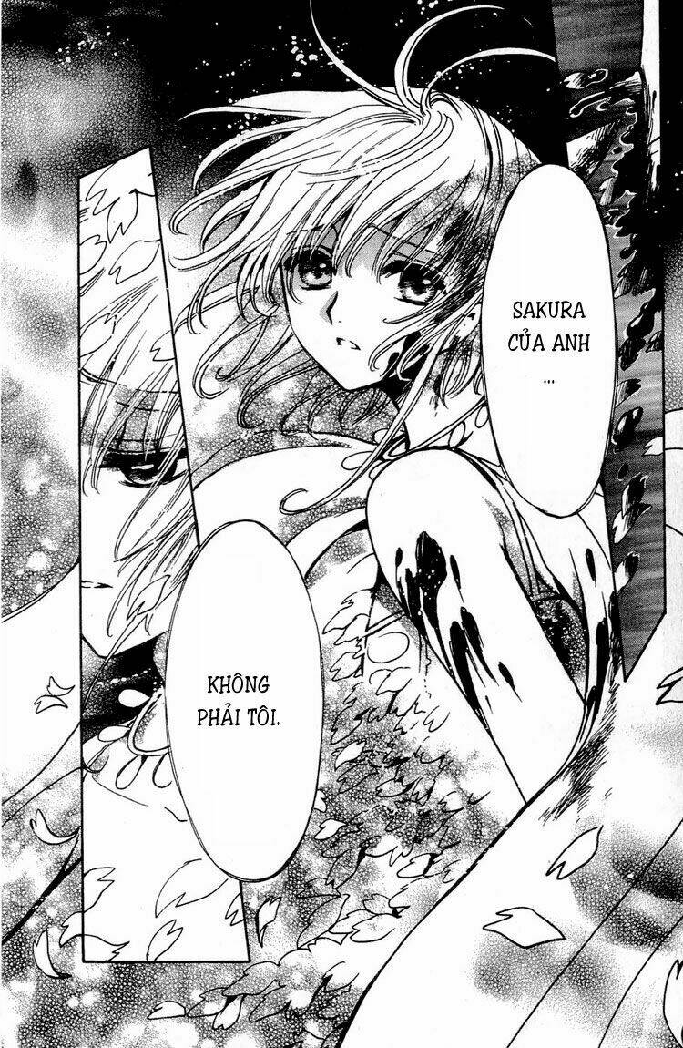 huyền thoại đôi cánh chapter 178 11