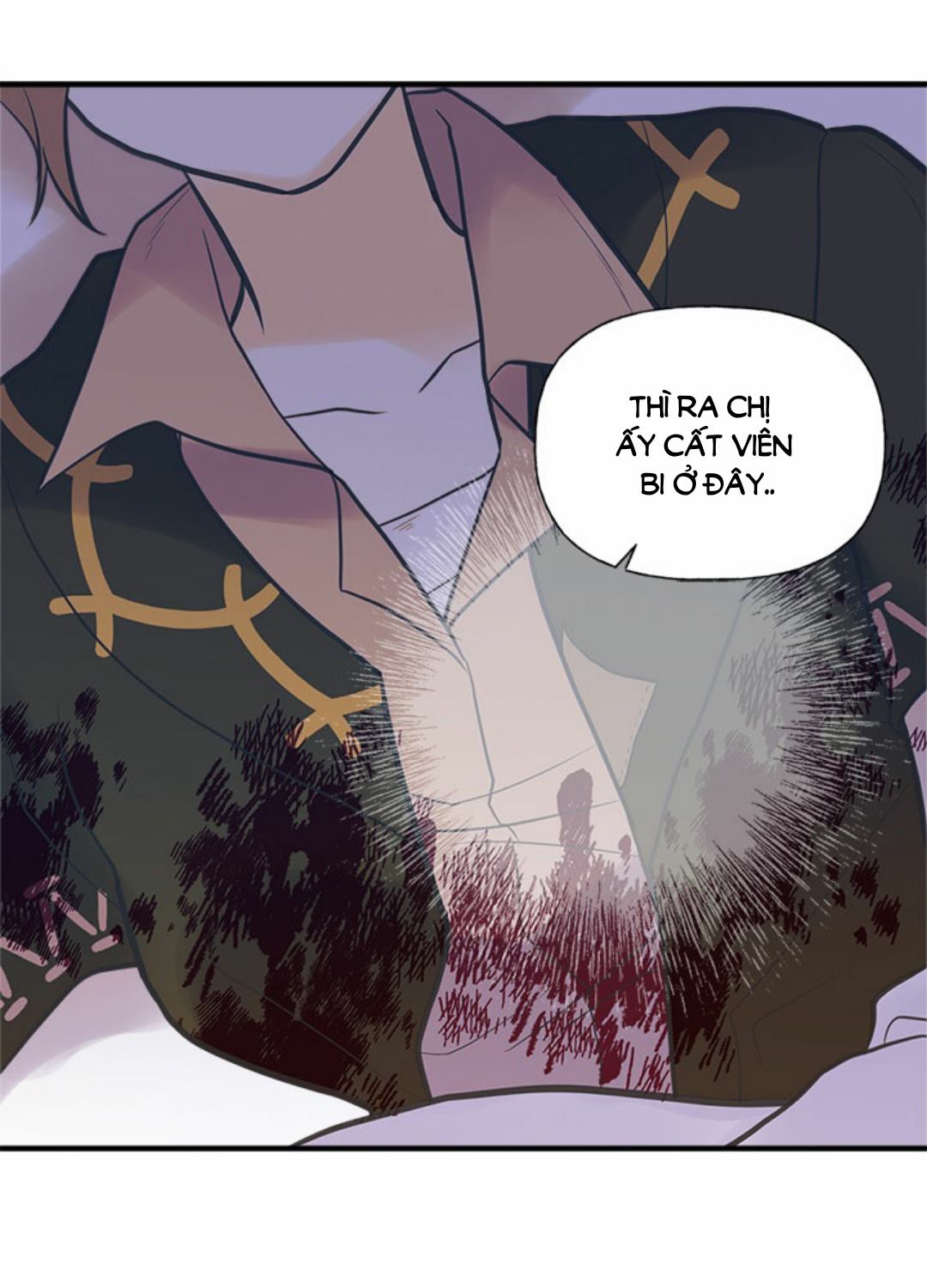 chị tôi đã nhặt về một nam chính quyến rũ chapter 25 46