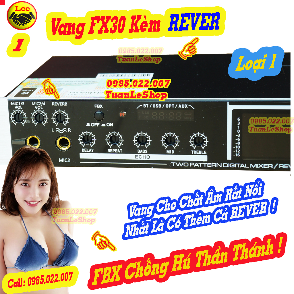 VANG CƠ FX30 PLUS CÓ REVER CAO CẤP – VANG KARAOKE