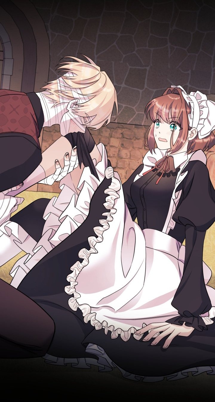 [18+] nếu cứu rỗi một cầm thú hư hỏng chapter 27.2 20